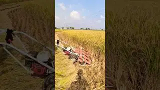 Cutting tools #cropcutting #cuttingtechnology #farmingmethod #cuttingmethods #agrico