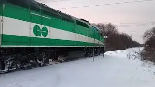 GO Train MP40PH 631 Arriving And Departure Old Cummer GO Station Pulling 10 Cars of Train