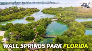 Wall Springs Park Florida. Aerial Panorama View. Virtual Travels. Drone Footage 4K