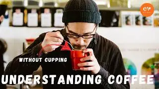 From Bag to Brew: Expert Tips for Analyzing Your New Coffee Purchase