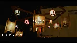 Night (トチオノアカリ2024) Lumix GH7 2024 /09 /28