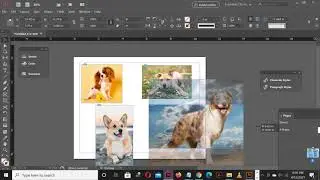 INDESIGN Auto Fit