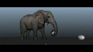 Elephant Animation in maya