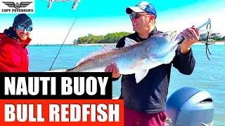 Bull Red Fish - St George Island, FL