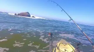 Catching Fish in California's Red Tide!