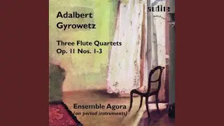 Fl&ouml;tenquartett No. 3 in C-Dur, Op. 11: Rondo allegretto