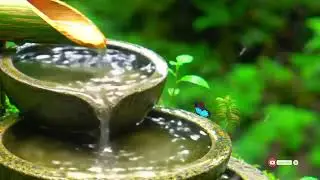 🌱Relaxation Music of Flowing Water, Water Sound For Relax | Relieve Stress, Calm The Soul & Mind