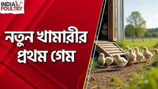 নতুন খামারীর প্রথম গেম - India Poultry News