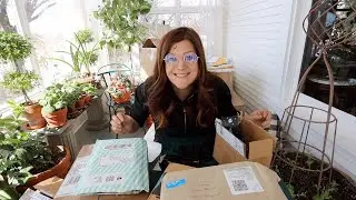 Mail time! 📦💚