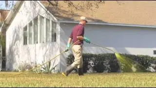 Southeast Florida Pest Control