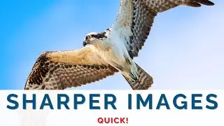 How to get RAZOR SHARP IMAGES in LESS THAN 2.5 minutes!//For beginners