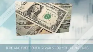 Free forex signals online with real time