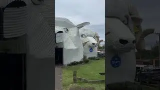 Famous place in Tirau 🇳🇿