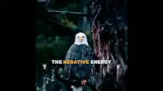 💪✌️An eagle Uses The Negative Energy Of A Storm To Fly Even Higher. #motivationalvideo #shorts