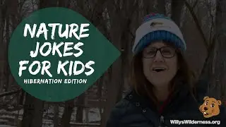 Nature Jokes for Kids: Hibernation Edition