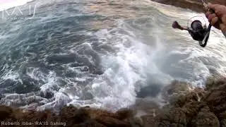 BLUEFISHING THE SPOTTER OFF THE ROCKS - serra dalla scogliera con lo Spotter