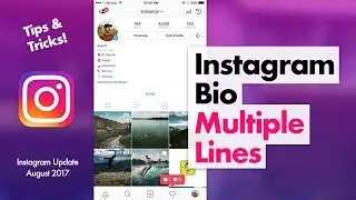 How to Edit Instagram Bio - Multiple Lines Tips & Tricks