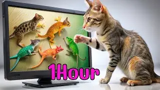 ИГРЫ ДЛЯ КОШЕК l Интерактивное развлечение для кошек: мыши и ящерицы на экране 1 час