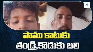 పాము కాటుకు తండ్రి,కొడుకు బలి | Father And Son Incident Of Snake Bite In Kamareddy |ZEE Telugu News