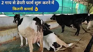 2 गाय से डेयरी फार्म शुरू करने में कितनी कमाई |Start a new dairy farming