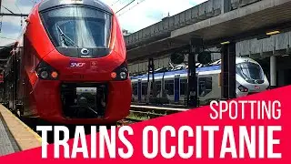 Trains en gares d'Occitanie - Nouvelle Livrée TER liO