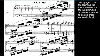Heller - Fantaisie Op.37 FULL (On-Screen Commentaries)