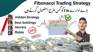 Fibonacci Trading Strategy Crash Course | How to Use Fibonacci Retracement | Trading
