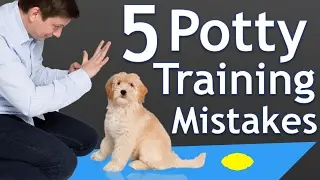 The 5 Most Common Potty Training Mistakes