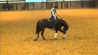 Reining Prospects 04-01-14