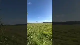 A red arrow landing at RAF Shawbury #aviation #military #planes #raf #redarrows #airforce