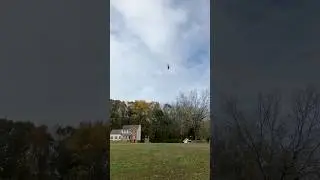 ELF CAUGHT FLYING ON CAMERA!? #shorts #flying #elf
