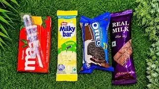 SATISFYING CHOCOLATE CANDY LOLIPOP JUST JELLY CANDY POPSICLE 