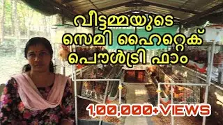 കുറഞ്ഞ ചിലവില്‍ ഒരു ഹൈ ടെക്  പൗൾട്രി ഫാം - How to start a BV 380  Poultry  farm