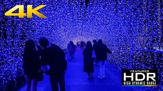🕯️ [4K HDR] Enoshima Winter Illuminations in Samuel Cooking Garden | Jewel of Shonan 💎