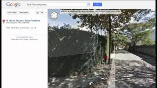 Brazillian Google Maps 