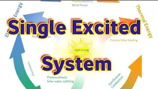 Single Excited System