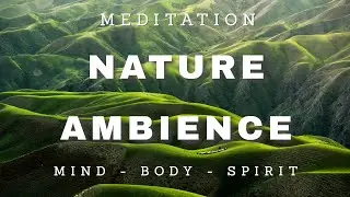 Nature Ambience - Beautiful Relaxing Music for Stress Relief - Life Between Lives Meditation