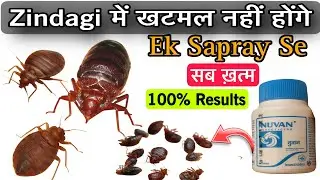 Ek Spray Se Sab Khatam ख़त्म | Bed Bug (Khatmal) Ka Permanent Ilaj | खटमल Powerful Medicine Bed Bug