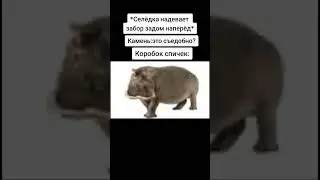 и полетят Москва Магадан