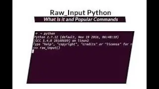 Python Basics   Raw Input