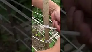 Just Genius! 👉Strong & Easy Knot for Garden Use!