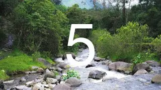 Find Freedom 5 | Cocora Valley Mediation | Deep Sleeping Music For Lucid Dreaming