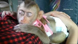Wow So Much Warming! Baby Mori Need Mom Hug While Sleeping After Lunch