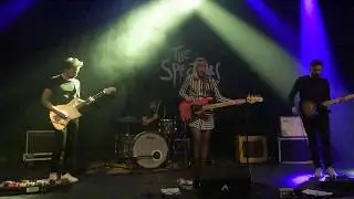 THE SPECTORS live @ Daverlo 2017
