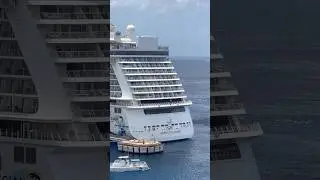 Norwegian Cruise Line vs Carnival Cruise Line!! #cruiseship #cruiseline #travel #yt #ytshorts #fyp