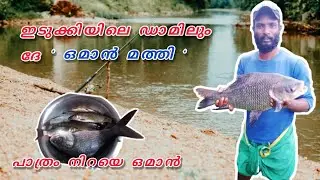 catching oman chala at erattayar dam