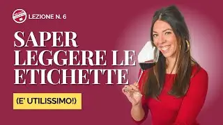 Corso di Vino per Principianti 6: Decifrare le etichette del vino: come scegliere il vino giusto