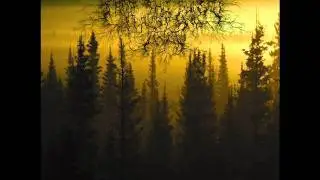 From The Sunset, Forest And Grief - My (Suicide) Path