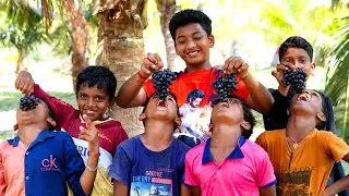 GRAPE JUICE  | 5 KG Grapes | Natural Pure Healthy Fruit Juice Making In Boys Cooking | Juice Recipe
