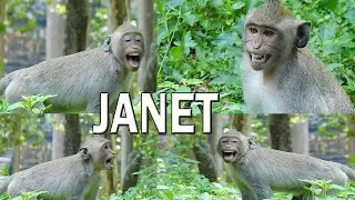 Janet Terribly Crying & Tell Mom Jane To Help Her
